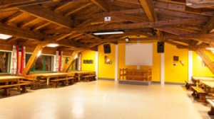 FELSERALM_SALA_ACTIVITATI.jpeg